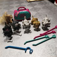 cuccioli mini toy yorkshire usato