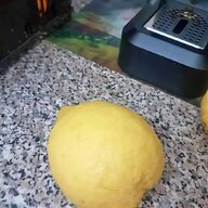piante limoni grande usato