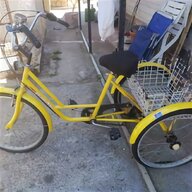 triciclo adulti ruote usato