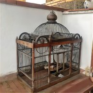 gabbia uccelli roma usato