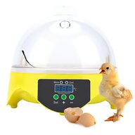 incubatrice uova automatica usato