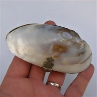 clam niagara usato