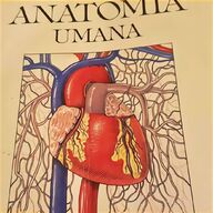 poster anatomia umana usato