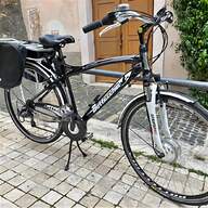 bottecchia city bike usato