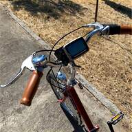 bici elettrica pieghevole litio usato