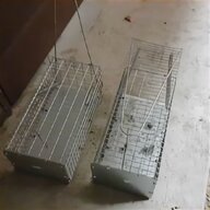 gabbia trappola usato