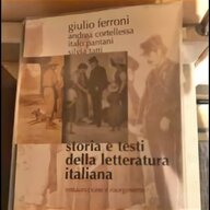 letteratura italiana ferroni usato