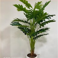 piante grasse artificiali usato