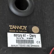 tannoy mercury usato