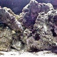 rocce marine usato