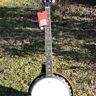 framus banjo usato