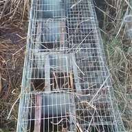 recinzioni conigli in vendita usato