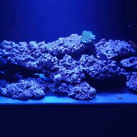 plafoniera neon acquario marino usato