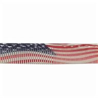 costumi bandiera americana usato