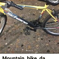 mountain bike uomo usato