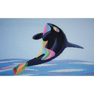 rainbow orca usato