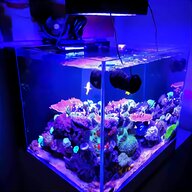 plafoniera led reef usato