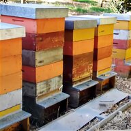 arnie apicoltura usato