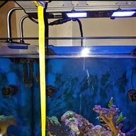plafoniera led acquario marino 60 cm usato