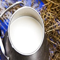 latte crudo usato