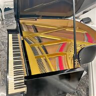 steinway pianoforte coda usato
