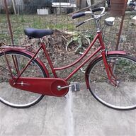 bicicletta olandesina usato