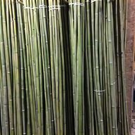 arella bambu bambu usato