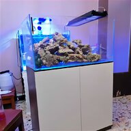 nano reef acquario usato