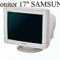 monitor crt 19 usato