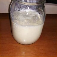 fermenti lattici yogurt usato