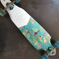 carver skateboard usato