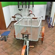 doniselli triciclo usato