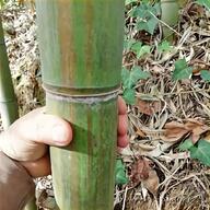 bamboo stylus usato