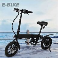 cargo bike elettrica usato