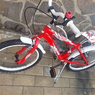 biciclette mtb usato