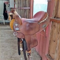 cavallo reining usato