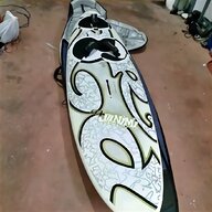 longboard surf roma usato