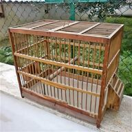 gabbia legno uccelli usato