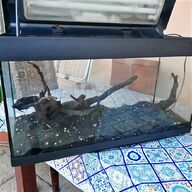 plafoniera acquario 80 cm usato