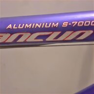 mountain bike alluminio usato