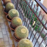 attaccapanni cactus usato