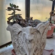 vasi bonsai grandi usato