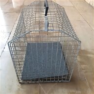 trappola gatti gabbia usato
