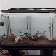pesci vetro usato
