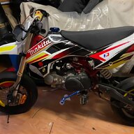 pit bike 125 forcelle usato