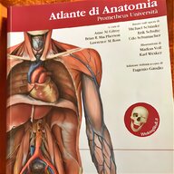 atlante anatomia umana usato
