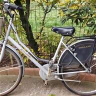bici donna holland usato