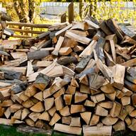 carpino legna ardere usato