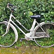 biciclette donna alluminio usato