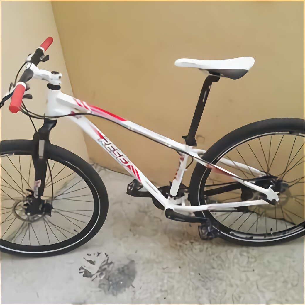 biciclette 100 euro